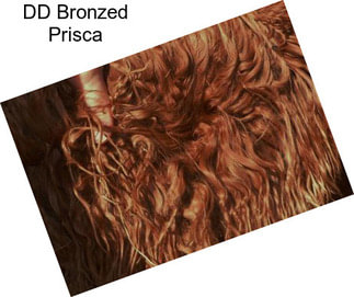 DD Bronzed Prisca