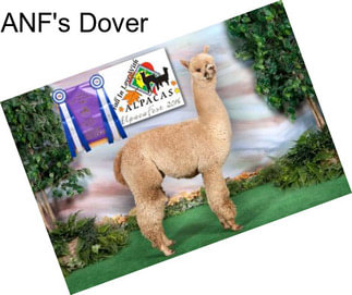 ANF\'s Dover