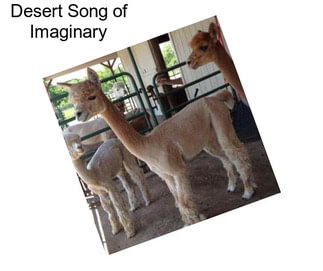 Desert Song of Imaginary