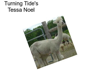 Turning Tide\'s Tessa Noel