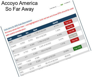 Accoyo America So Far Away