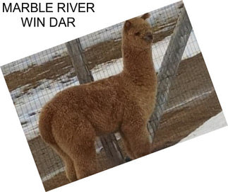 MARBLE RIVER WIN DAR