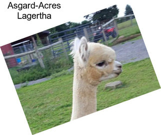 Asgard-Acres Lagertha