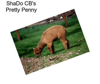 ShaDo CB\'s Pretty Penny