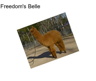 Freedom\'s Belle