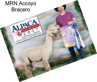 MRN Accoyo Bracero