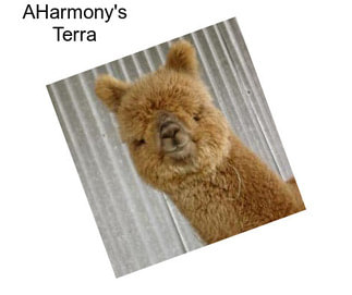 AHarmony\'s Terra