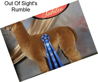 Out Of Sight\'s Rumble