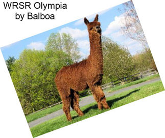 WRSR Olympia by Balboa
