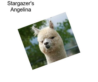 Stargazer\'s Angelina