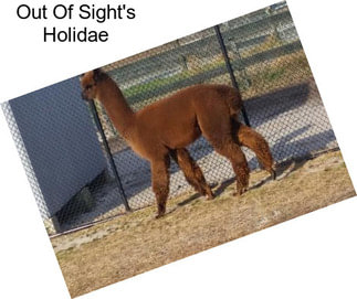 Out Of Sight\'s Holidae