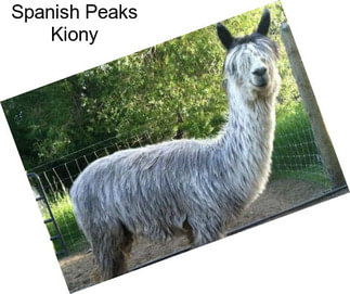 Spanish Peaks Kiony
