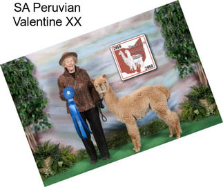 SA Peruvian Valentine XX