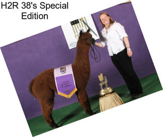 H2R 38\'s Special Edition