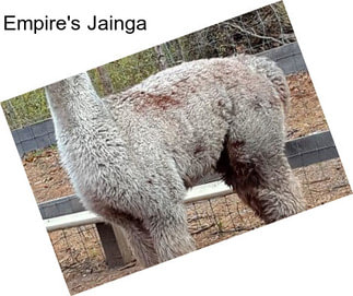 Empire\'s Jainga