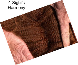 4-Sight\'s Harmony