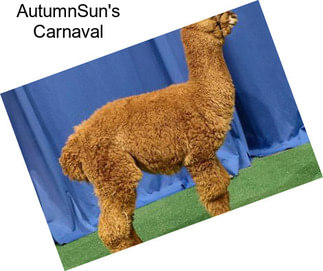 AutumnSun\'s Carnaval