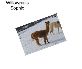 Willowrun\'s Sophie