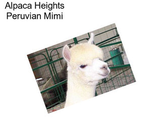Alpaca Heights Peruvian Mimi
