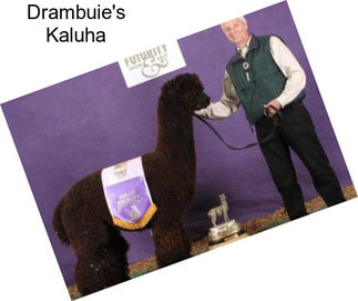 Drambuie\'s Kaluha