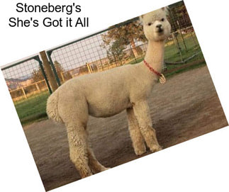 Stoneberg\'s She\'s Got it All