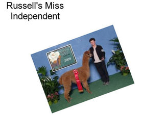 Russell\'s Miss Independent