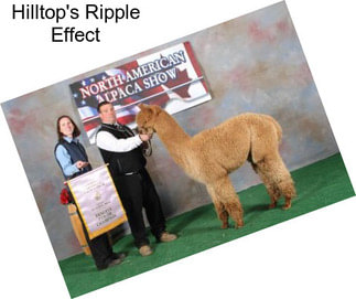 Hilltop\'s Ripple Effect