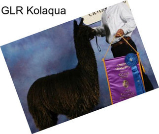 GLR Kolaqua