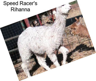 Speed Racer\'s Rihanna