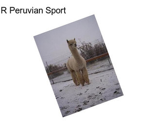 R Peruvian Sport
