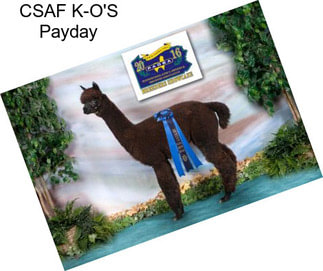 CSAF K-O\'S Payday