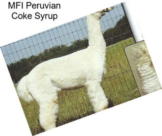 MFI Peruvian Coke Syrup