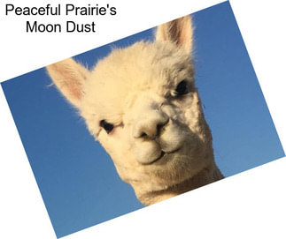 Peaceful Prairie\'s Moon Dust