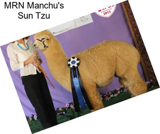 MRN Manchu\'s Sun Tzu