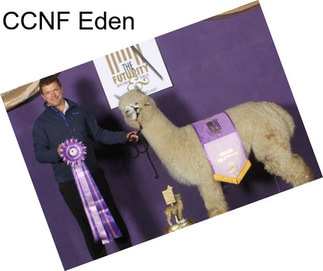 CCNF Eden