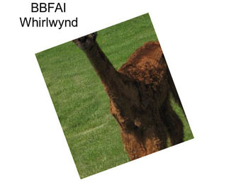 BBFAI Whirlwynd