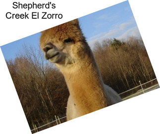 Shepherd\'s Creek El Zorro