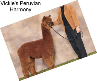 Vickie\'s Peruvian Harmony