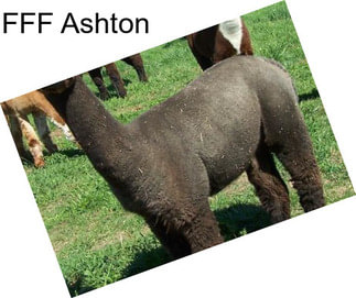 FFF Ashton