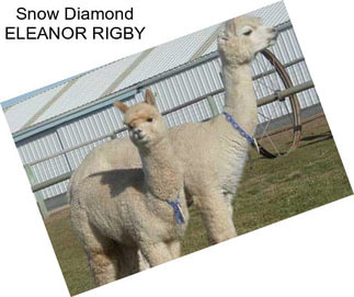 Snow Diamond ELEANOR RIGBY