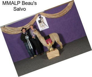 MMALP Beau\'s Salvo