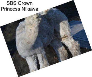 SBS Crown Princess Nikawa
