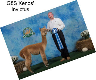 G8S Xenos\' Invictus