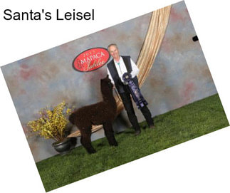 Santa\'s Leisel