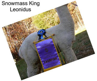 Snowmass King Leonidus