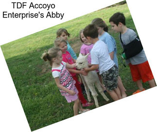 TDF Accoyo Enterprise\'s Abby