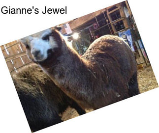 Gianne\'s Jewel