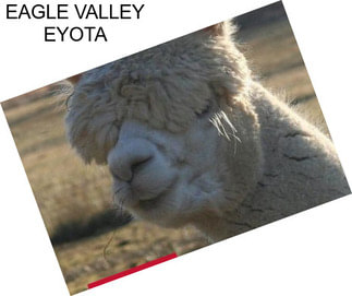 EAGLE VALLEY EYOTA