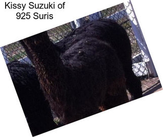 Kissy Suzuki of 925 Suris