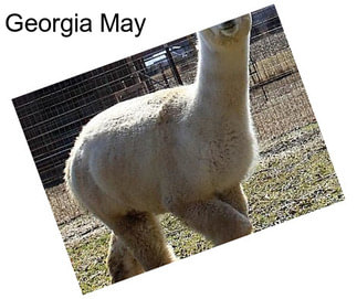 Georgia May